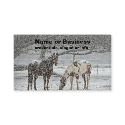 2 Horses Outside in Winter during Snowy Weather