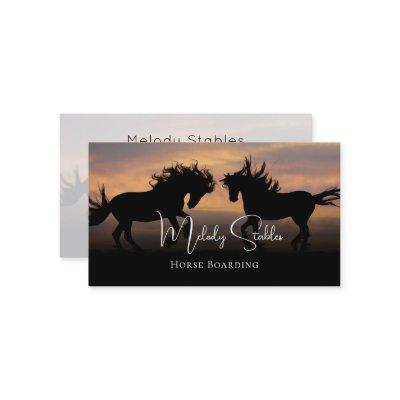 2 Wild Horses Silhouette Photograph