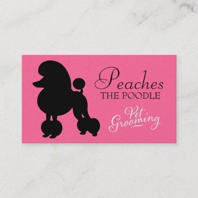 311 Peaches the Poodle Pet Grooming