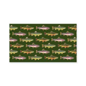 3 Beautiful Trout - Brook, Rainbow, Brown