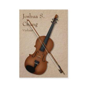 3-Illusion Violin & Bow Professional Musician's