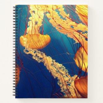 8.5" x 11" Spiral Notebook