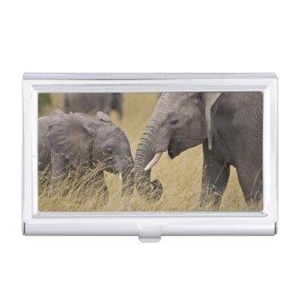 A African Elephant grazing in the fields  Case