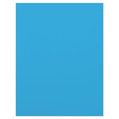 a blue background with a black and white cat on to flyer