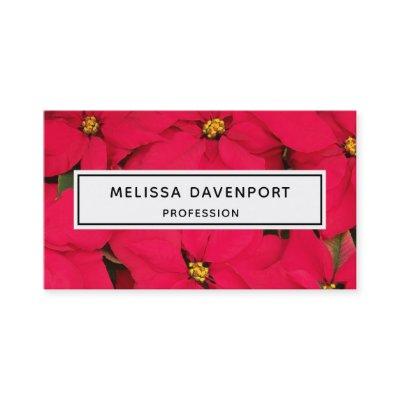 A bunch of Brightly Colored Christmas Poinsettias