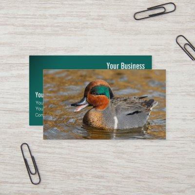 A Chatty Green-Winged Teal Duck at the Pond