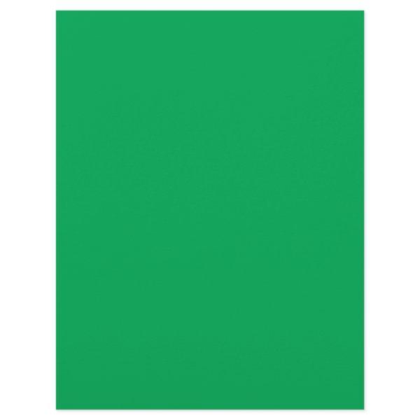 a green background with a white border flyer