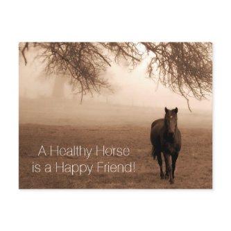 A Healthy Horse Veterinary Appointment Reminder Postcard