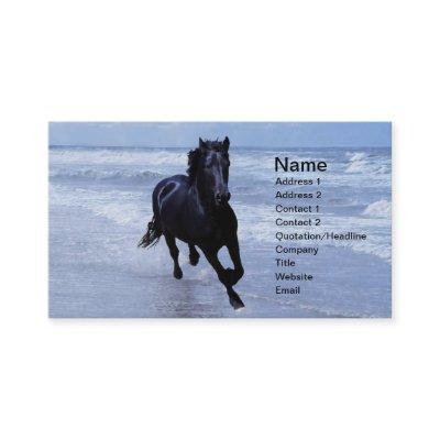 A horse wild and free
