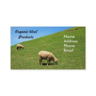 A lush green pasture with two sheep grazing