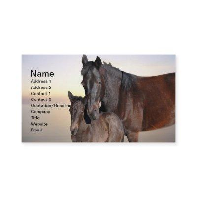 A mare and her baby foal