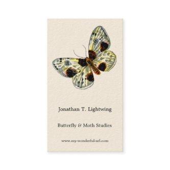 Abraxas sylvata - The Clouded Magpie Moth
