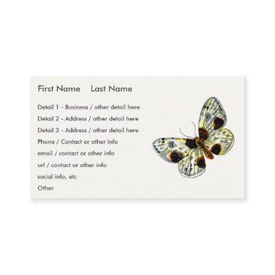 Abraxas sylvata - The Clouded Magpie Moth