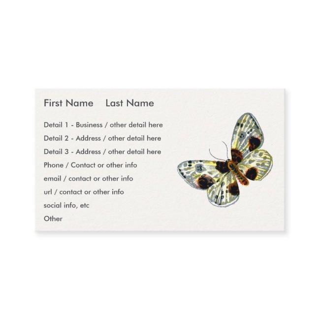 Abraxas sylvata - The Clouded Magpie Moth