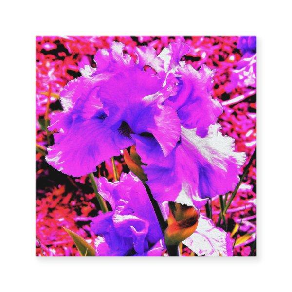 Abstract Ultra Violet Purple Iris on Red Square