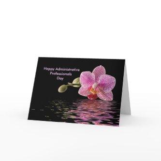 Admin Pro Day Pink Orchid Reflection Holiday Card