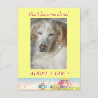 Adopt a Dog  Easter Postcard