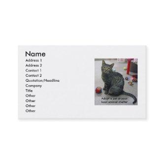 Adopt a Pet Profile Card