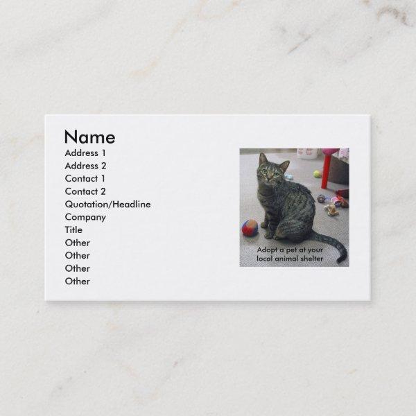 Adopt a Pet Profile Card