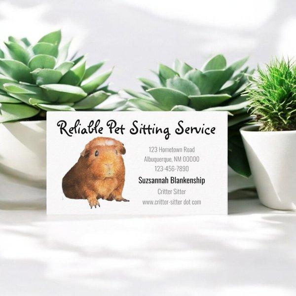 Adorable Brown Guinea Pig Photo Pet Sitter