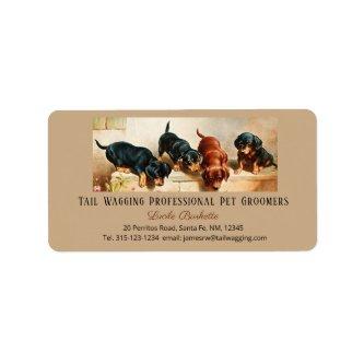 Adorable Cute Dachshund Doxies Puppy Pet Grooming Label