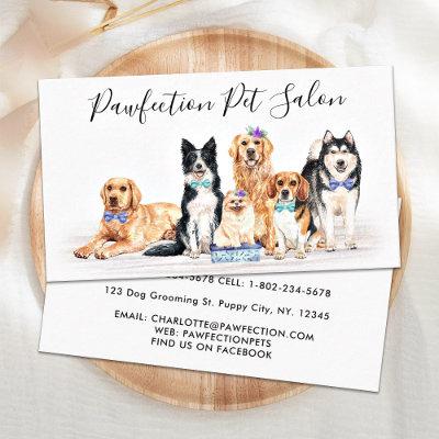 Adorable Dogs Pet Sitter Dog Groomer