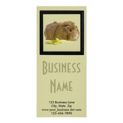 Adorable Ginger Guinea Pig Photo Pet Care Business Rack Card