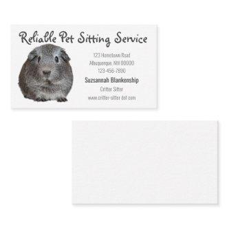 Adorable Gray Guinea Pig Photograph