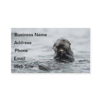 Adorable Sea Otter