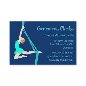 Aerial Silks