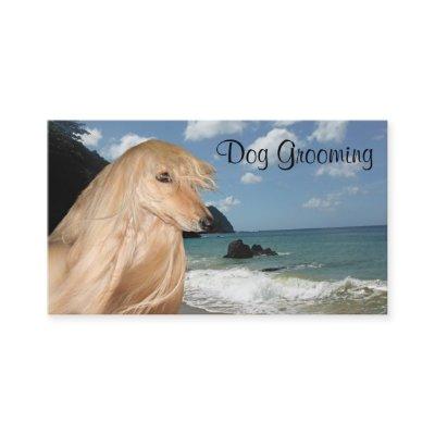 Afghan Hound dog grooming