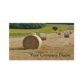 Agricultural straw bales in a field