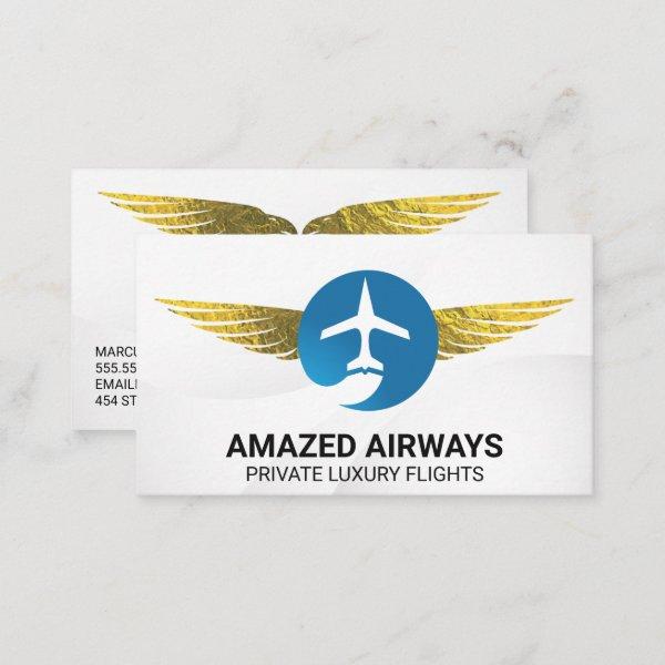 Airplane Logo | Flights | Golden Wings