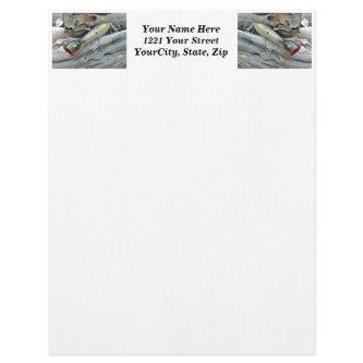 AJS Saltwater Lure Popper Mullet Letterhead