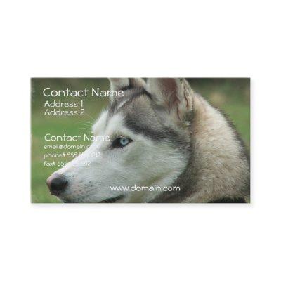 Alaskan Husky