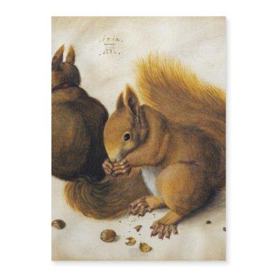 Albrecht Durer - Two Squirrels