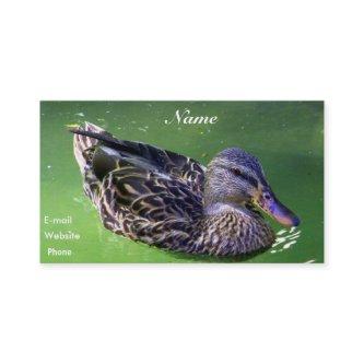 Allow Me To_Profile Card