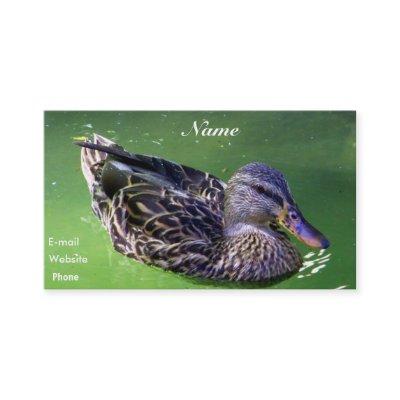 Allow Me To_Profile Card
