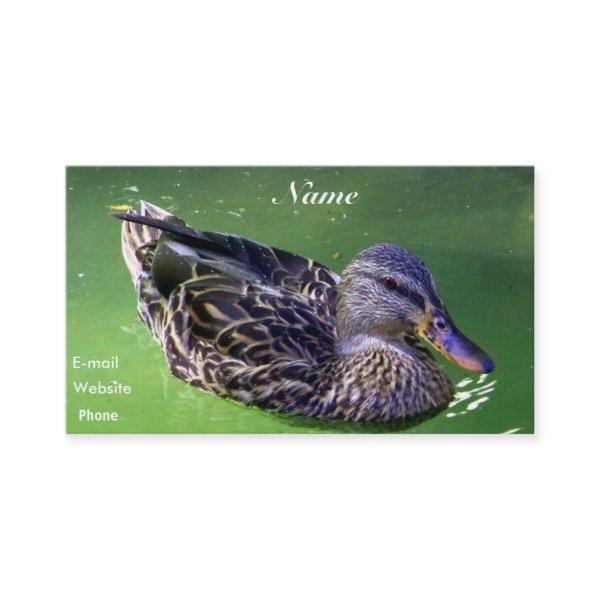Allow Me To_Profile Card