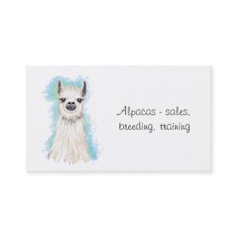 Alpaca Owner