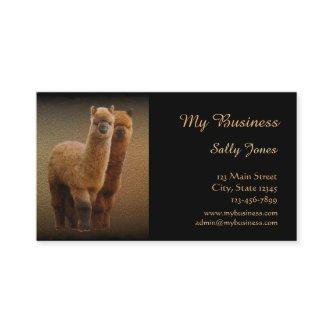 Alpaca Pet Care  Double-Sided