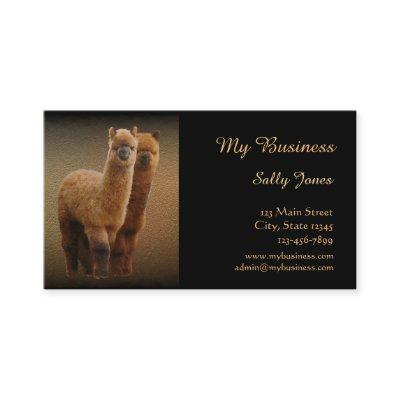 Alpaca Pet Care  Double-Sided