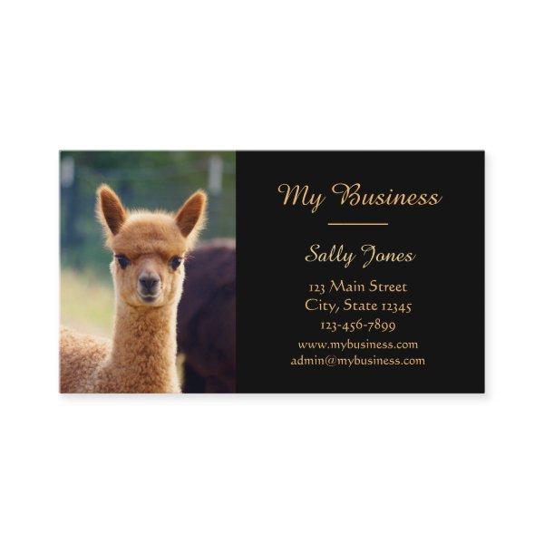 Alpaca Pet Care  Double-Sided