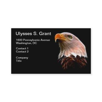 American Bald Eagle Head