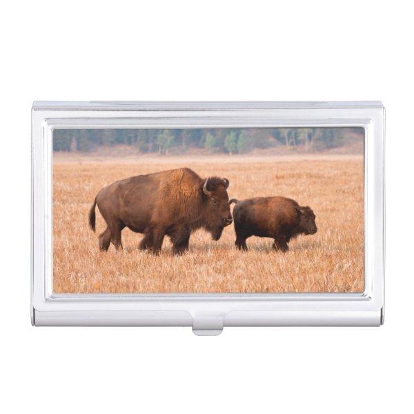 American Bison (Bison Bison) Cow And Calf Case For
