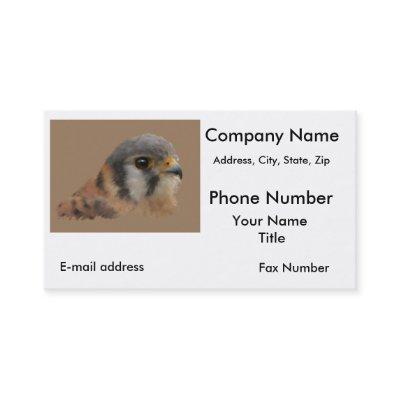 American Kestrel