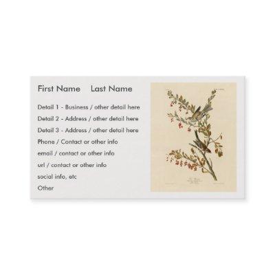 American Tree Sparrow, Audubon's Birds of America