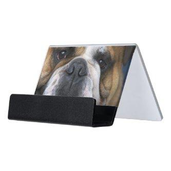 An english bulldog in Belgium Desk  Holder