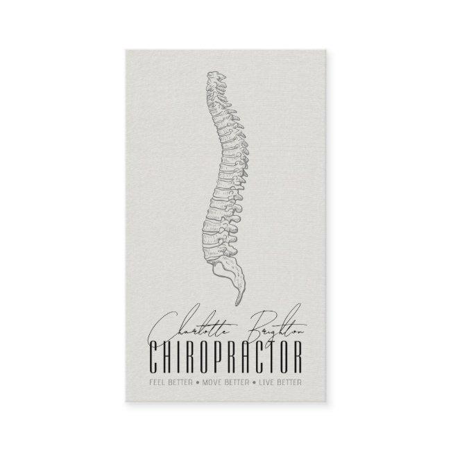Anatomical Spine Chiropractor Appointment And