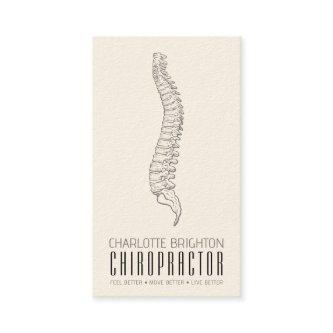 Anatomical Spine Chiropractor Appointment And